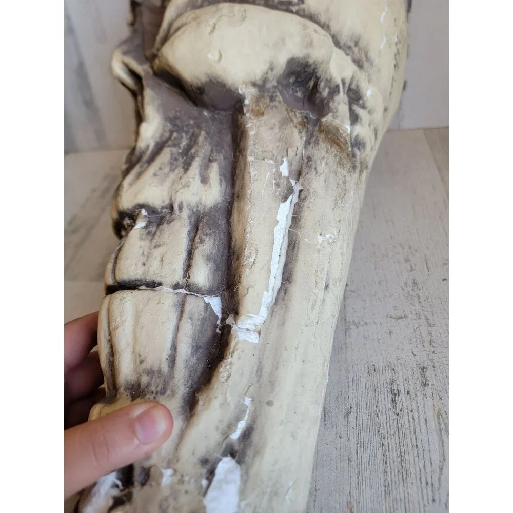 Skull large foam AS IS head Halloween prop home decor bowl unique‎
